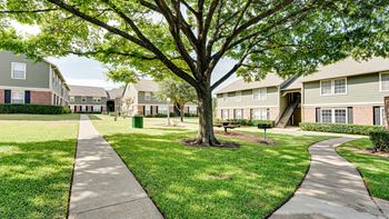 a tree in the middle of a grassy area with houses in the background  at Arbors Of Cleburne, Texas, 76033